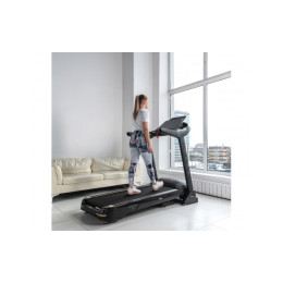 Беговая дорожка DFC SANTANA Pro T757