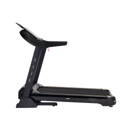 Беговая дорожка DFC SANTANA Pro T757