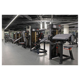 Нижние мышцы спины Foreman FN-305