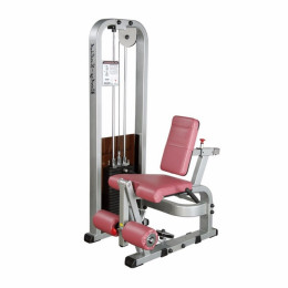 Разгибание ног сидя Body Solid ProClub SLE-200G