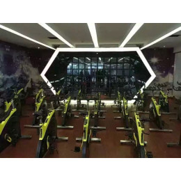 Спин байк (сайкл) Pangolin 7010