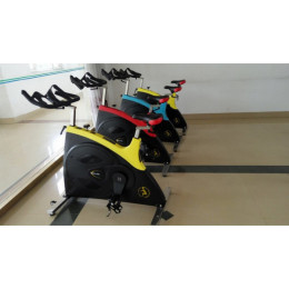 Спин байк (сайкл) Pangolin 7010