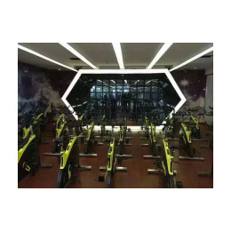 Спин байк (сайкл) Pangolin 7010