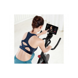 Велотренажер Xiaomi Yesoul BS3-B-10.1 черный (дисплей 10.1")