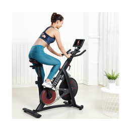 Велотренажер Xiaomi Yesoul BS3-B-10.1 черный (дисплей 10.1")