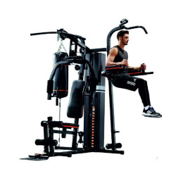 Силовая станция Altezani Gym 001