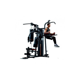 Силовая станция Altezani Gym 001