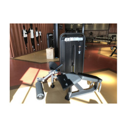 Сгибание ног лежа DHZ E7001