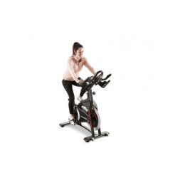 Сайкл-велотренажёр Schwinn AC Power CHF/9-7300-QINTP0