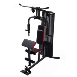 Многофункциональный спортивный комплекс Atemi AGS3100