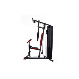 Многофункциональный спортивный комплекс Atemi AGS3100