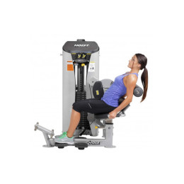 Пресс\Нижняя спина Hoist HD-3600