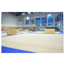 Ковер гимнастический соревновательный (толщ. 10мм. войлок+полиамид) 14х14м Atlet IMP-A409