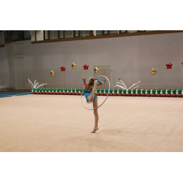 Ковер гимнастический соревновательный (толщ. 10мм. войлок+полиамид) 14х14м Atlet IMP-A409