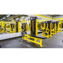 Гребная тяга (горизонтальный блок) Foreman FN-302