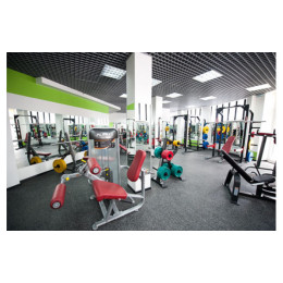 Разгибание/Сгибание ног Aerofit PL9019