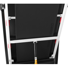 Беговая дорожка Carbon Fitness T558