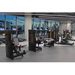 Разгибание ног Foreman FN-101