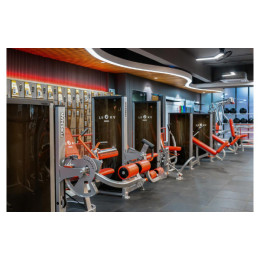 Разгибание ног Foreman FN-101