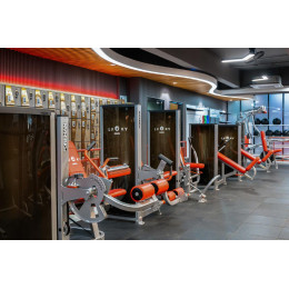 Разгибание ног Foreman FN-101