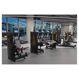 Разгибание ног Foreman FN-101