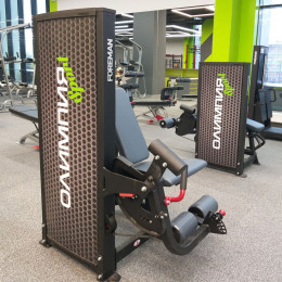 Разгибание ног Foreman FN-101