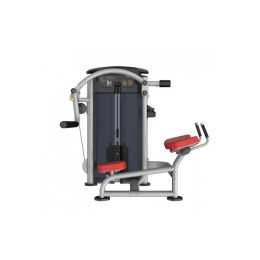 Ягодичные Aerofit IT9526
