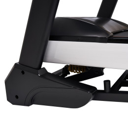 Беговая дорожка электрическая Proxima Ivetta PROT-219 HRC