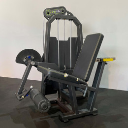 Разгибание ног сидя (Leg Extension) DHZ R-2002