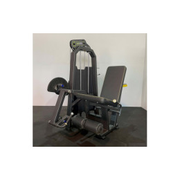 Разгибание ног сидя (Leg Extension) DHZ R-2002