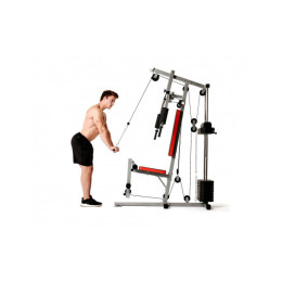 Силовой комплекс DFC HomeGym D7000