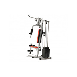Силовой комплекс DFC HomeGym D7000