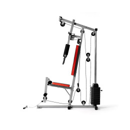 Силовой комплекс DFC HomeGym D7000