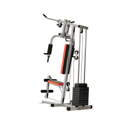 Силовой комплекс DFC HomeGym D7000