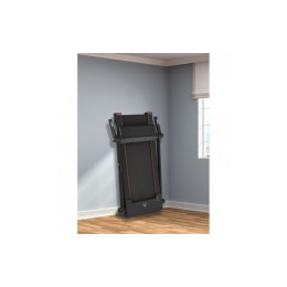 Беговая дорожка Titanium Masters Slimtech C250