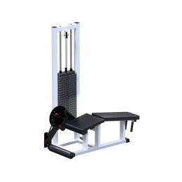 Сгибание ног ARMS (стек 100кг) AR040