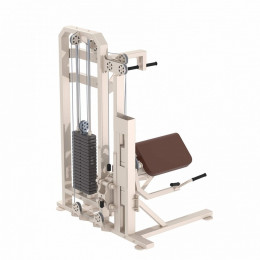 Бицепс-машина Iron King KS03