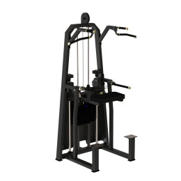 Турник, брусья с противовесом (Dip, Chin Assist) DHZ R-2009