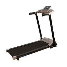 Беговая дорожка DFC Kengury T122S серебро/голуб