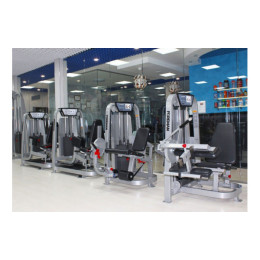 Сгибание ног сидя Foreman FS-102