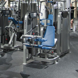 Сгибание ног сидя Foreman FS-102