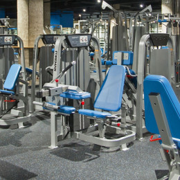 Сгибание ног сидя Foreman FS-102