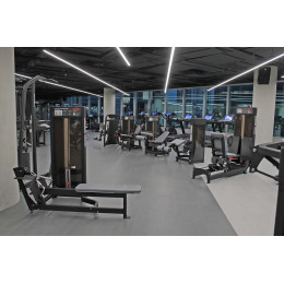 Жим ногами сидя Foreman FN-108