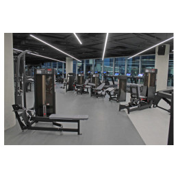 Жим ногами сидя Foreman FN-108