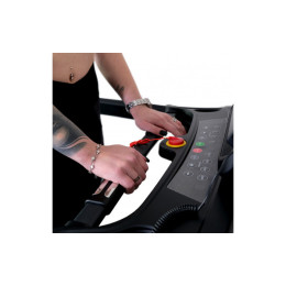 Беговая дорожка Everyfit 74203B