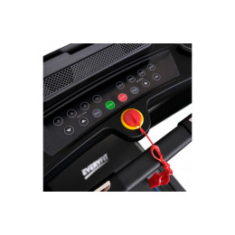 Беговая дорожка Everyfit 74203B