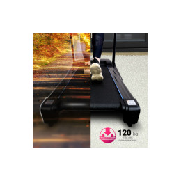 Беговая дорожка Everyfit 74203B