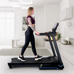 Беговая дорожка Everyfit 74203B