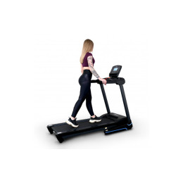 Беговая дорожка Everyfit 74203B