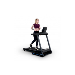 Беговая дорожка Everyfit 74203B